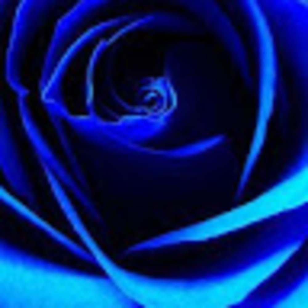 Meet your Posher, Keyta